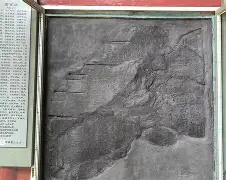 wnacg汉化单行本